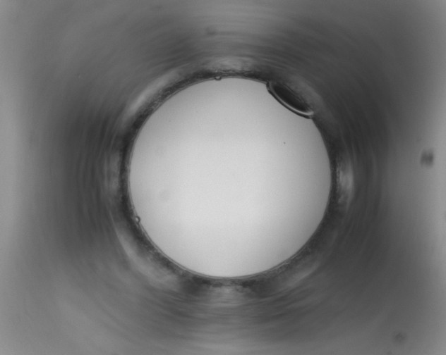 X0000113870396200910151306