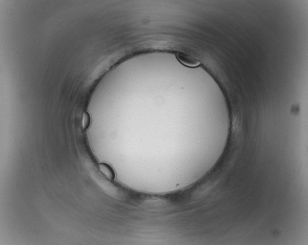 X0000113870397200910151306