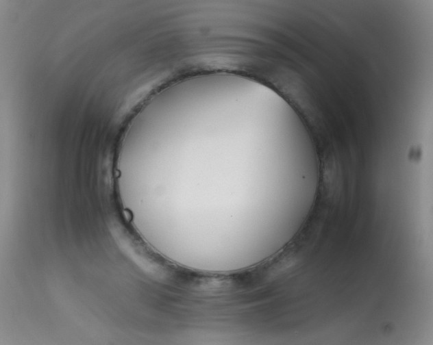 X0000113870398200910151306