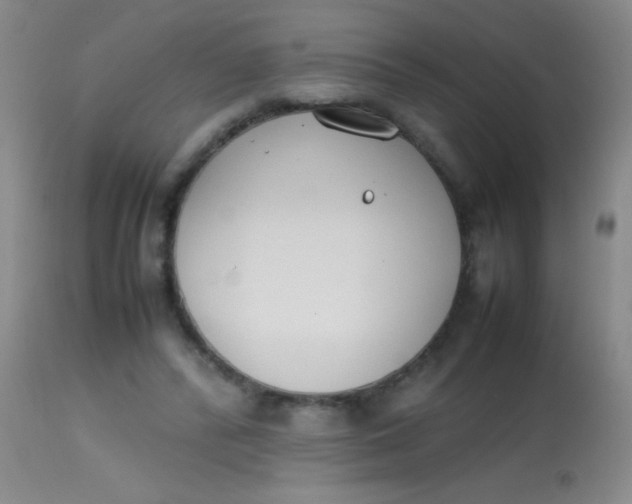 X0000113870400200910151306