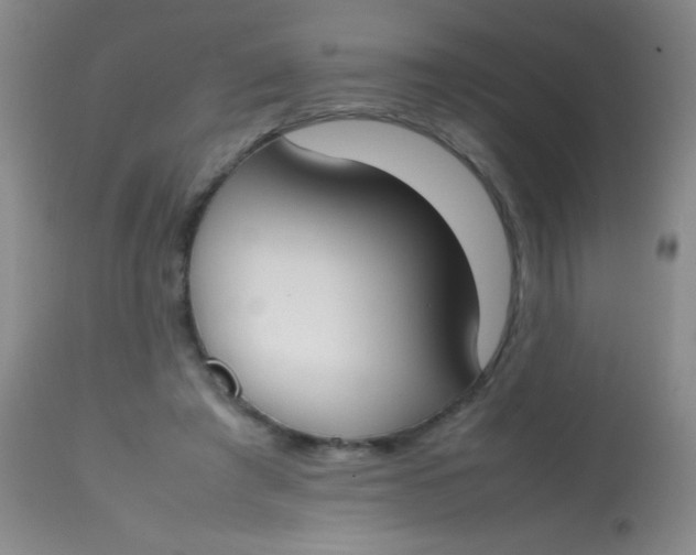 X0000113870401200910151306