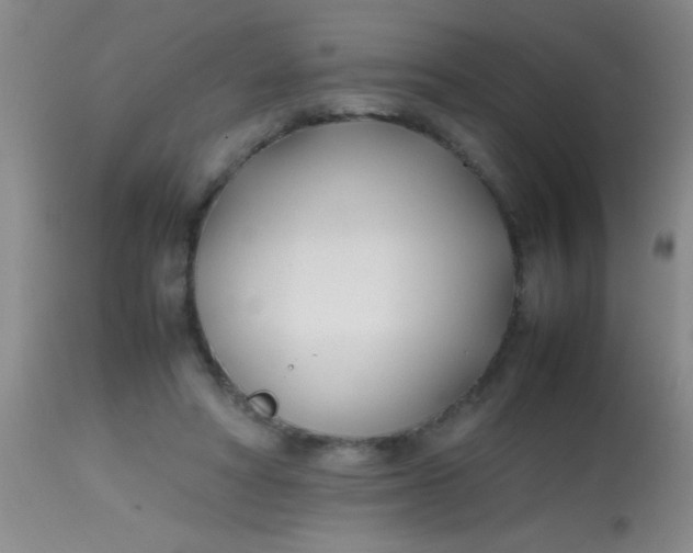 X0000113870402200910151306