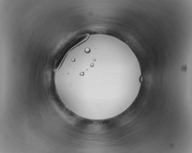 X0000113870404200910151306