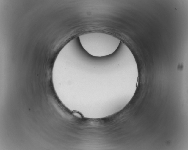 X0000113870405200910151306