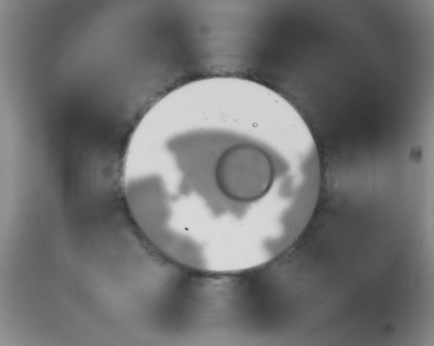 X0000113870411200910151306