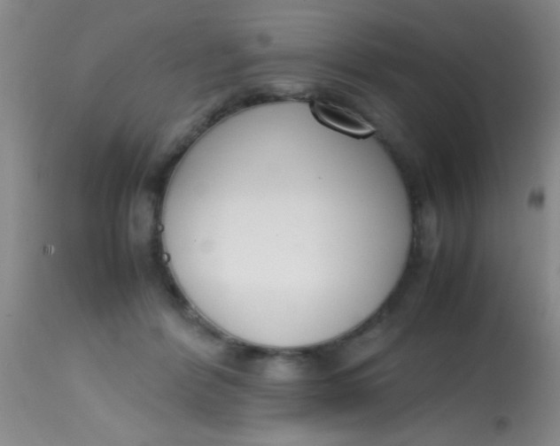 X0000113870412200910151306