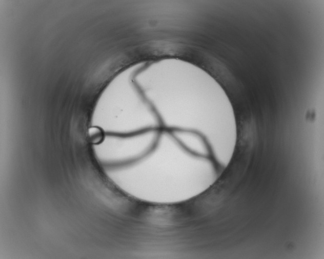 X0000113870414200910151306