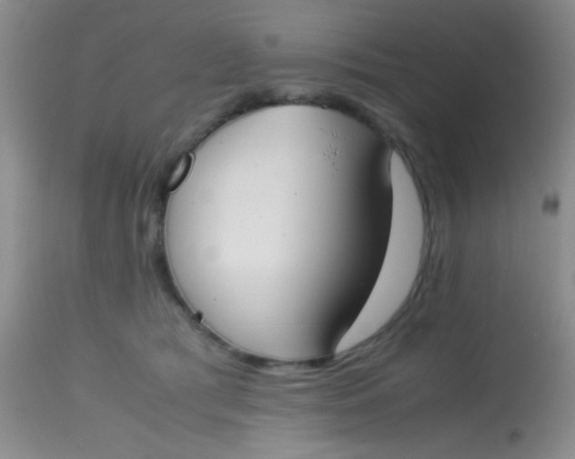 X0000113870417200910151306