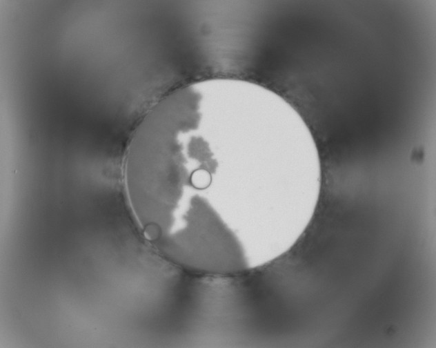 X0000113870419200910151306