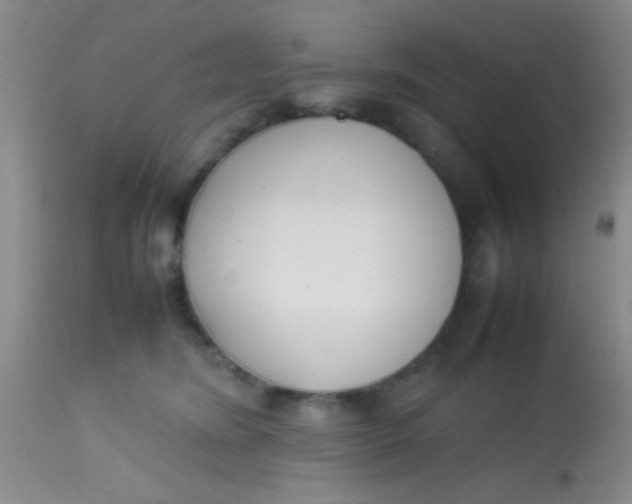 X0000113870420200910151306