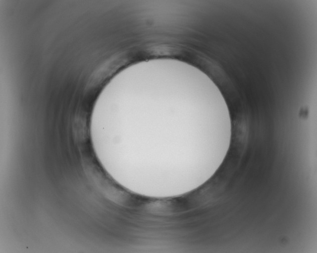 X0000113870422200910151306