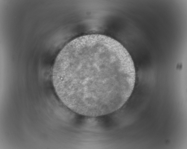 X0000113870423200910151306