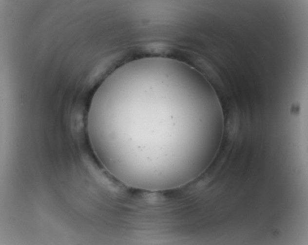 X0000113870424200910151306