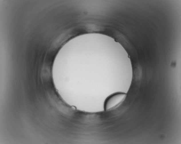 X0000113870426200910151306