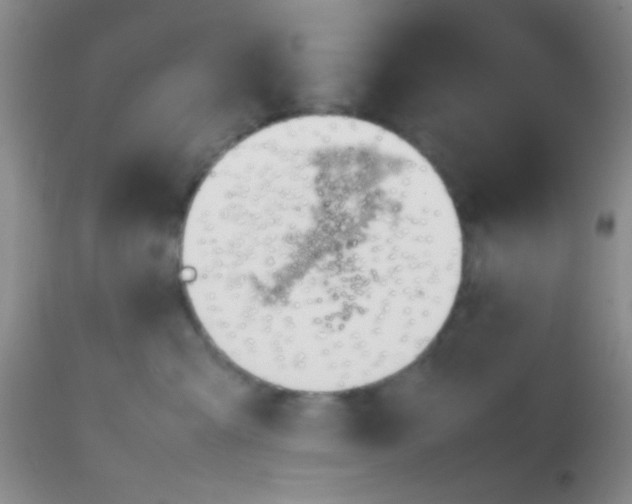 X0000113870427200910151306