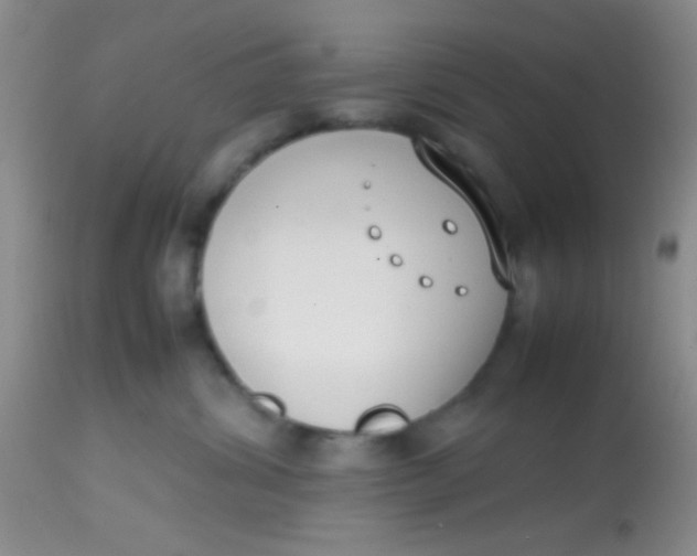 X0000113870428200910151306