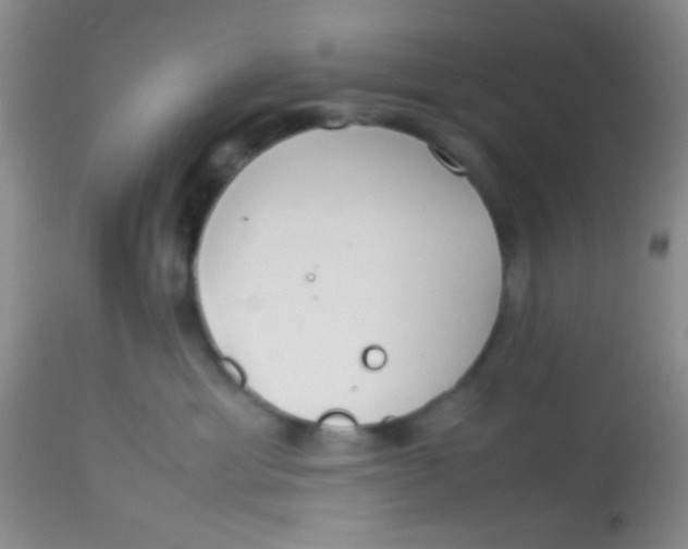 X0000113870429200910151306