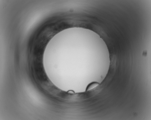 X0000113870430200910151305