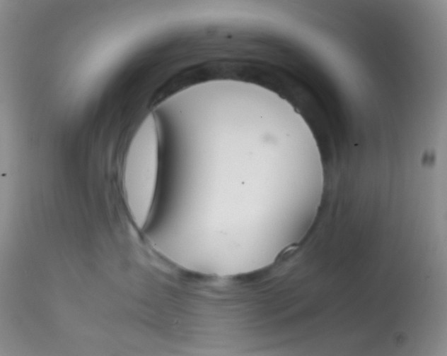 X0000113870431200910151305