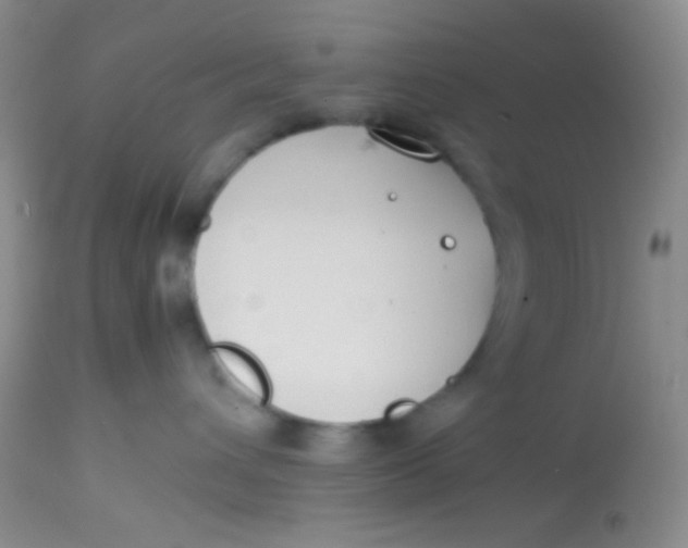 X0000113870432200910151305