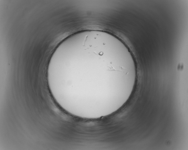 X0000113870433200910151305