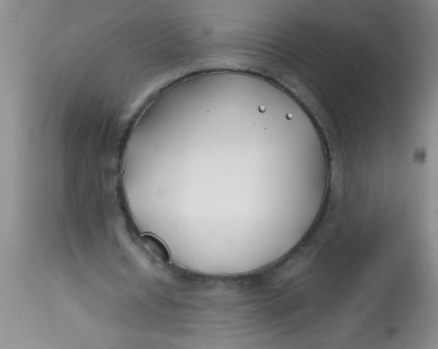 X0000113870434200910151305