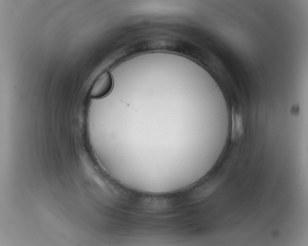 X0000113870435200910151305