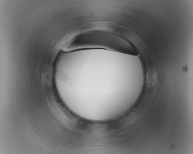 X0000113870436200910151305