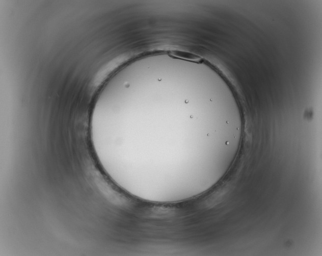 X0000113870437200910151305