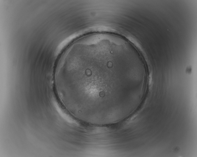 X0000113870438200910151305