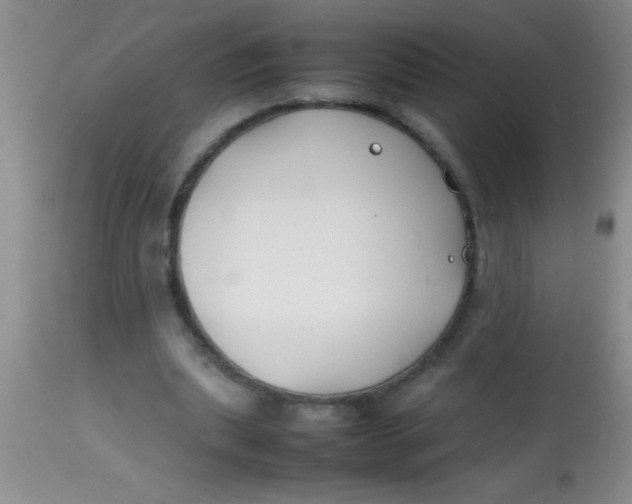 X0000113870439200910151305