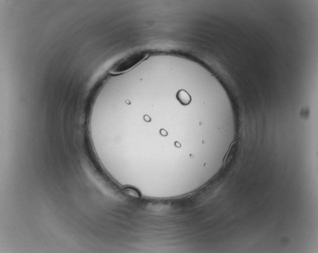 X0000113870440200910151305