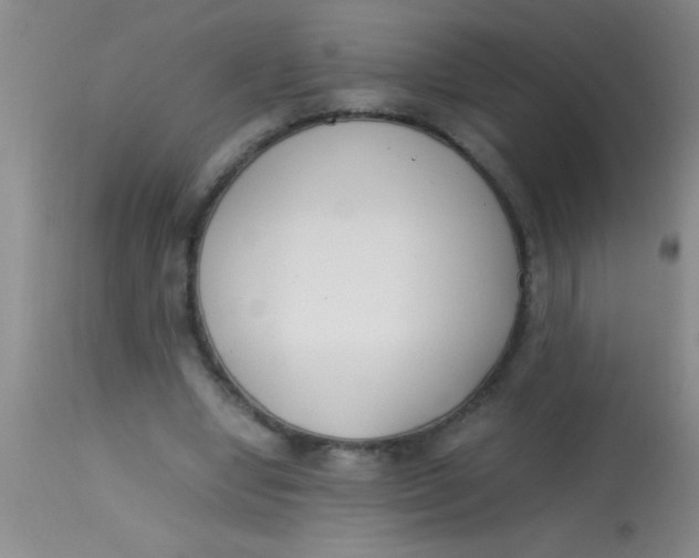 X0000113870442200910151305