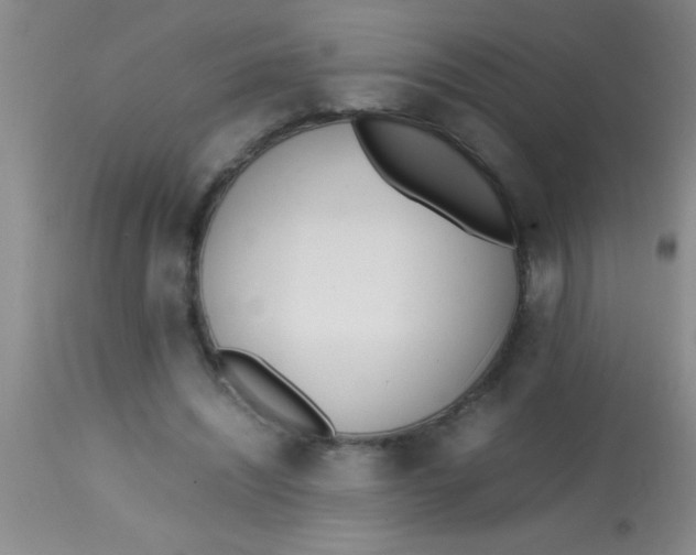 X0000113870444200910151305