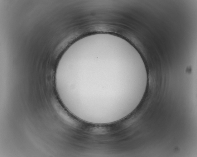 X0000113870445200910151305