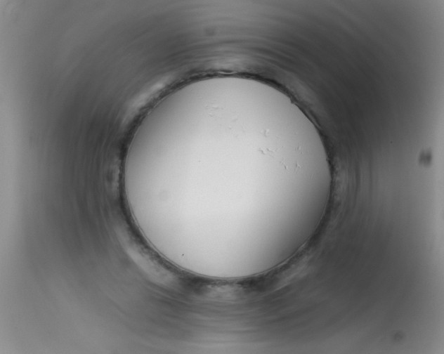 X0000113870446200910151305