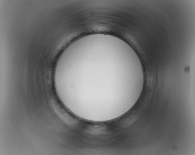 X0000113870447200910151305