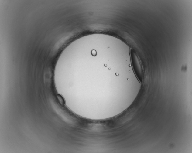 X0000113870448200910151305