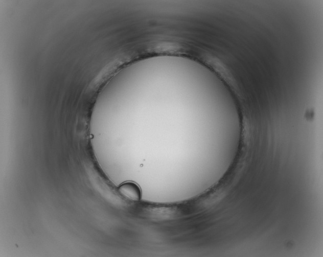 X0000113870449200910151305