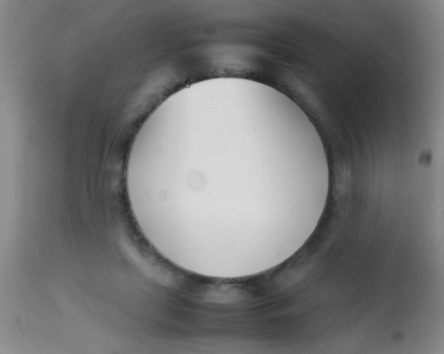 X0000113870451200910151305