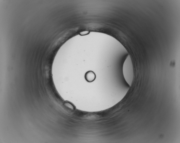 X0000113870452200910151305