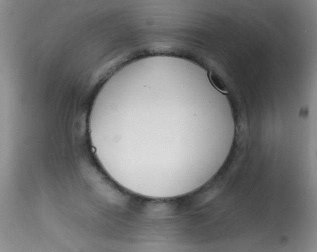 X0000113870454200910151305