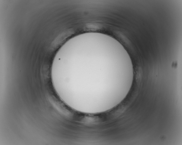 X0000113870455200910151305