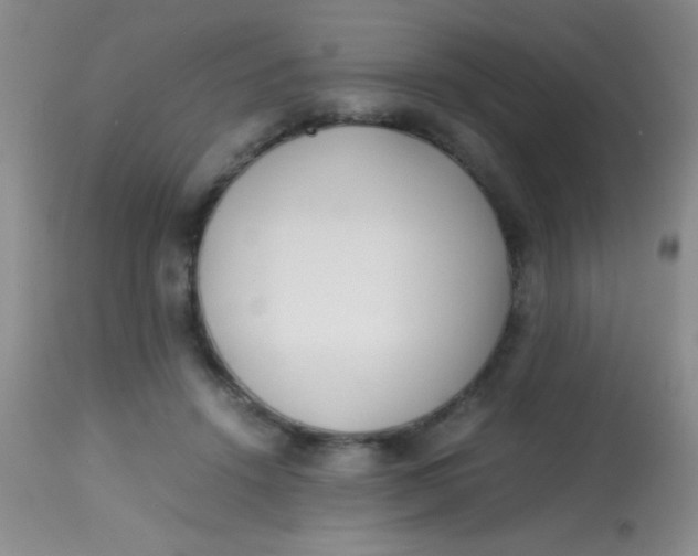 X0000113870456200910151305