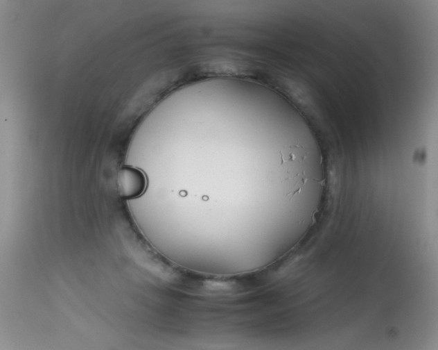 X0000113870457200910151305