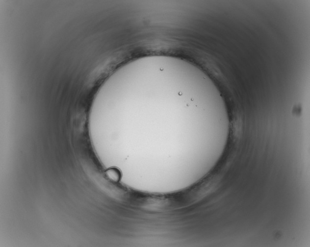 X0000113870458200910151305