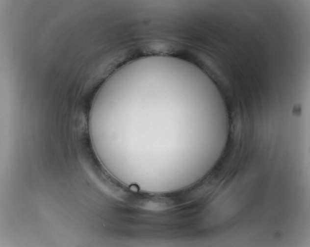 X0000113870459200910151305