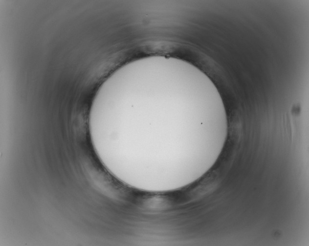 X0000113870460200910151305