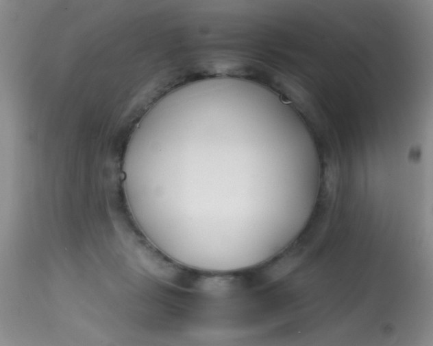 X0000113870461200910151305