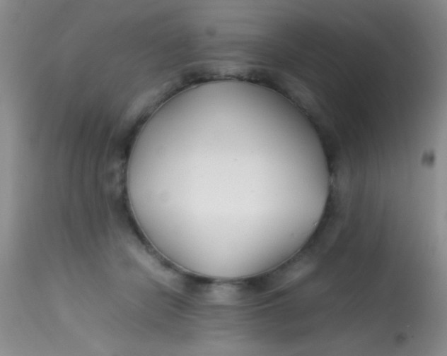 X0000113870462200910151305